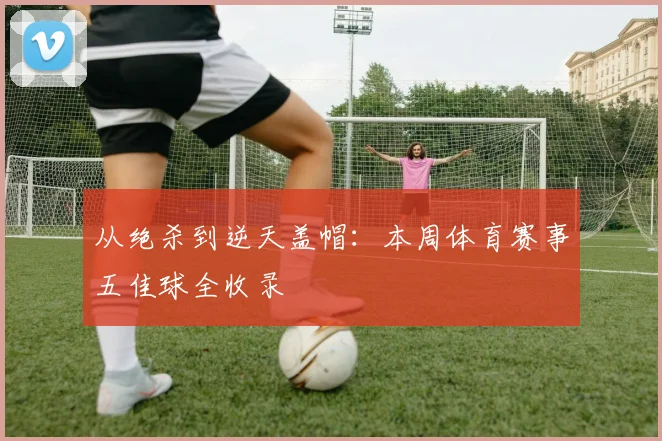 从绝杀到逆天盖帽：本周体育赛事五佳球全收录