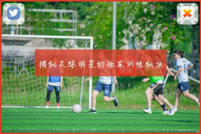 揭秘足球明星的独家训练秘诀