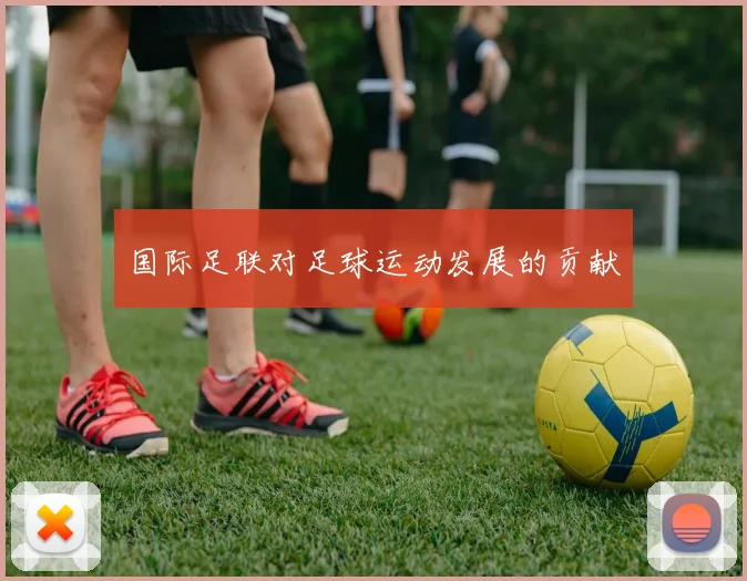 国际足联对足球运动发展的贡献